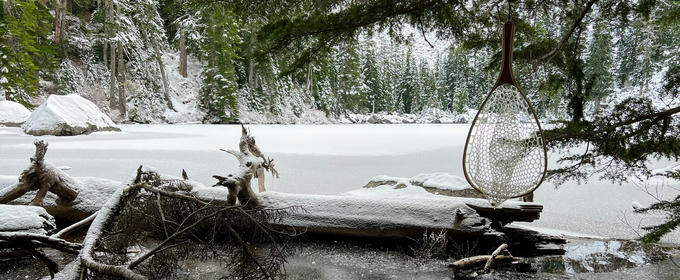 Hero image for 'Rainy Lake'