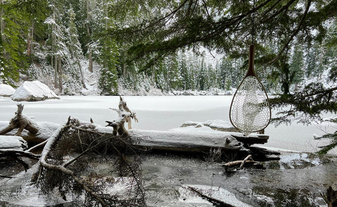 Rainy Lake through the trees