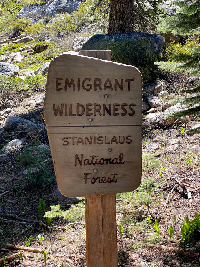 Emigrant Wilderness boundary