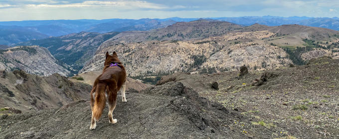 Hero image for 'Leavitt Peak'