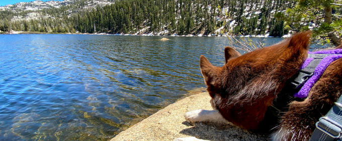 Hero image for 'Bear Lake'