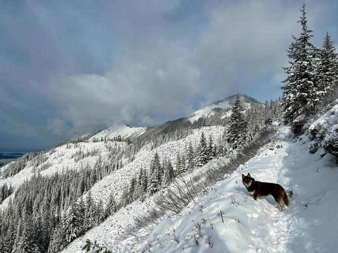 Putrid Pete's Peak (left) and Mount Defiance (right)