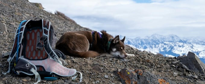 Hero image for 'Snowshoeing Round Top'