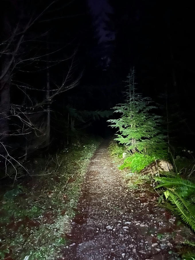 The trail pre-dawn