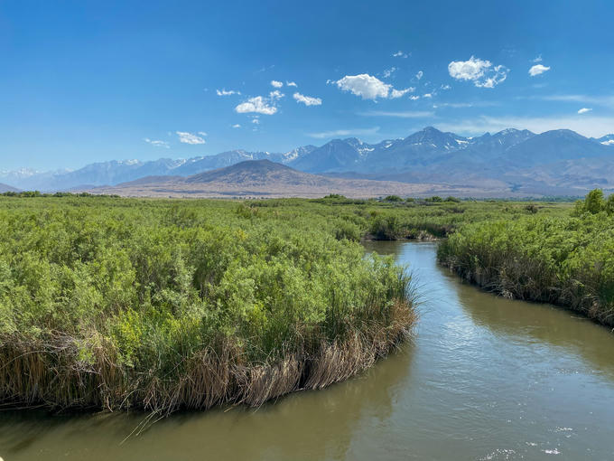 Owens River and the Eastern Sierra