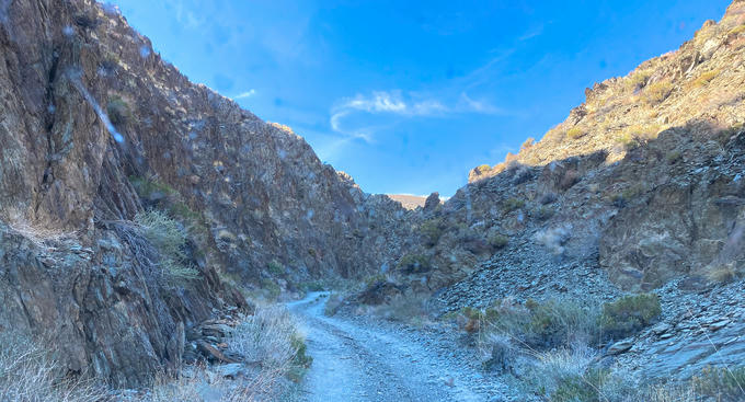 A narrow forest road through a canyon