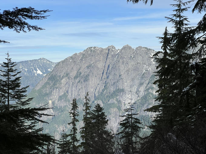 Stegosaurus Butte through the trees