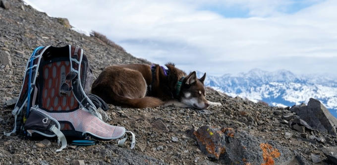 Echo resting at the top of Round Top